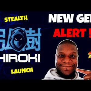 Hiroki $HIRO Token + Hiro Chain & Hiro Dapps LOW CAP GEM Stealth Launched