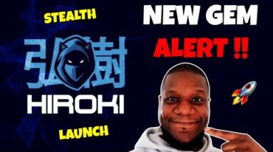 Hiroki $HIRO Token + Hiro Chain & Hiro Dapps LOW CAP GEM Stealth Launched