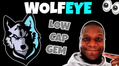 WolfEye $WOLF Token | Wolf Play & Wolf Swap Utility | LOW CAP GEM?