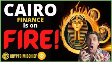 CAIRO FINANCE : ONE MONTH UPDATE : DOUBLED MY MONEY ✅