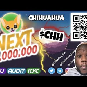 Chihuahua Bsc $CHH | NEXT 100X MOONSHOT GEM?