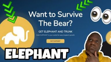 $Elephant Is On The Move | ELEPHANT MONEY