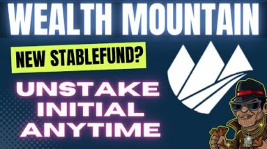 Wealth Mountain The Next StableFund!? | 1-5% Daily | Stable Coin Staking!!!