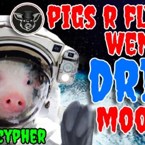 PIGS ARE PUMPING 🐷 BUT WEN DRIP MOON ? 👀 THE ANIMAL FARM EXPLAINED #dripnetwork