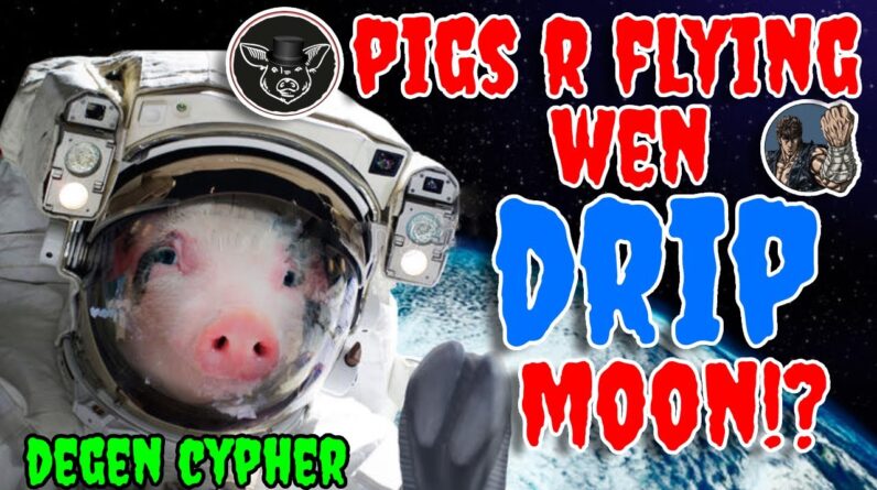 PIGS ARE PUMPING 🐷 BUT WEN DRIP MOON ? 👀 THE ANIMAL FARM EXPLAINED #dripnetwork