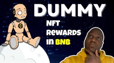 Dummy Token $DUMB & Nft By Squidgrow Team Member?