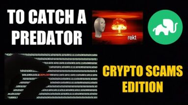 To Catch A Predator The Crypto Scams Episode #2 - Elephant Money