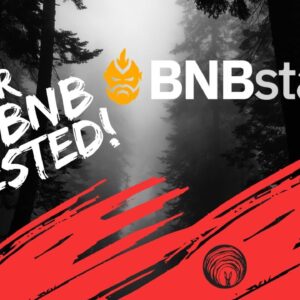 BNB STALKER IS LIVE WITH OVER 300 BNB IN ALREADY!  WATCH MY LIVE DEPOSIT AND REVIEW!
