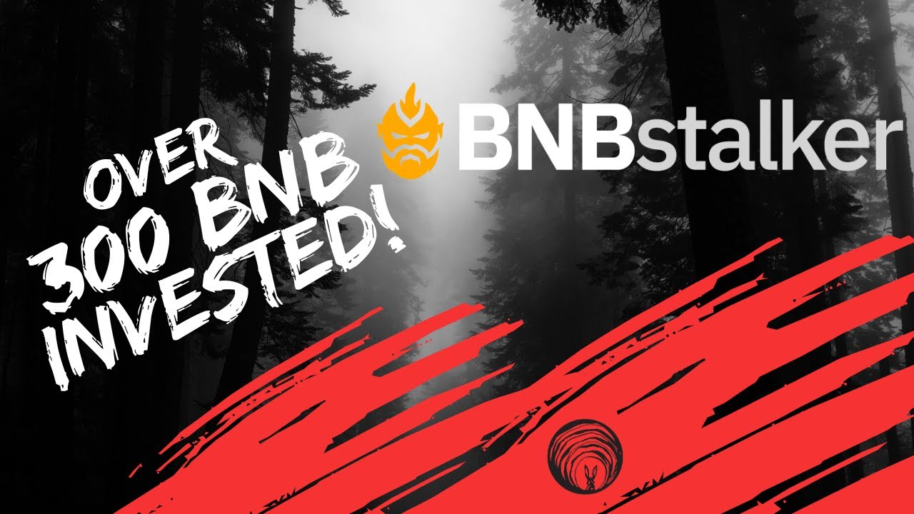 BNB STALKER IS LIVE WITH OVER 300 BNB IN ALREADY!  WATCH MY LIVE DEPOSIT AND REVIEW!