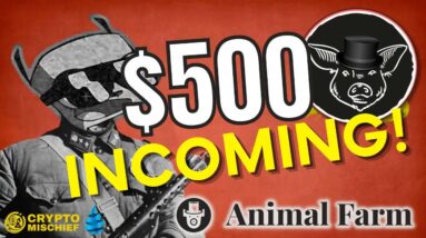ANIMAL FARM: Richie believes in a $500 PIGS token