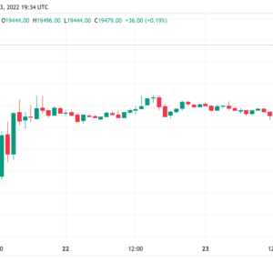 bitcoin price hits 19 5k into weekly close as trader predicts green week