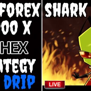 FOREX SHARK 10000X HEX STRATEGY FOR DRIP EXPLAINED #ANIMALFARM #dripnetwork