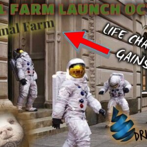 THE BIGGEST NEWS IN DEFI LAUNCHES OCTOBER 18th | ANIMAL FARM YIELD FARMING DROPS IN JUST 3 DAYS!!!