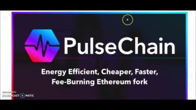 The REAL reason #pulsechain  has not launched yet #hex #icosa #hedron