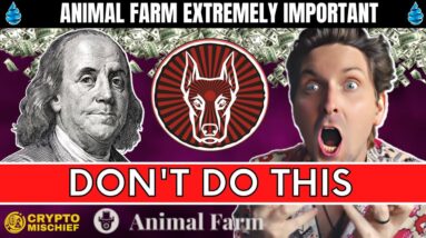 ANIMAL FARM: BE VERY CAREFUL WITH DOGS (AFD)