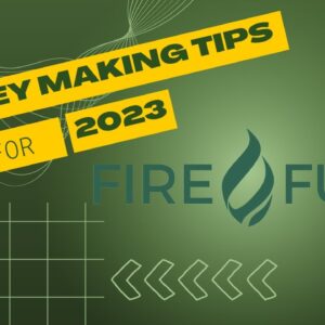 FIREFUND LAUNCHES ON 11/11 - TAKE A LOOK AS I REVIEW THE NEW PROJECT - $50 BUSD GIVE AWAY