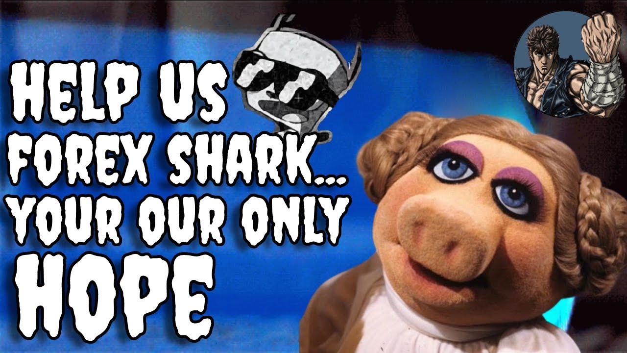 HELP US FOREX SHARK YOUR OUR ONLY HOPE ? AMA REACTION #dripnetwork #animalfarm