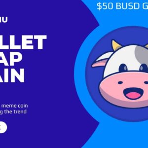 MUU CHAIN REVIEW - STEP BY STEP HOW TO BRIDGE OVER TO THE MUU CHAIN - 50 BUSD GIVEAWAY
