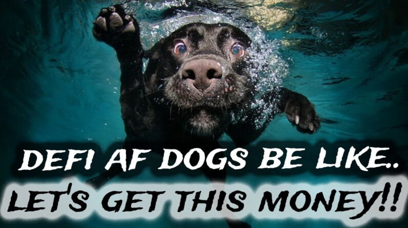How To Get Rich In DeFi | AF Pigs & Dogs + Drip💧1% A Day Keeps The 9 To 5 Away!!