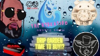 THE HYDRATION CRYPTO SHOW - DRIP GARDEN TIME TO BUY?