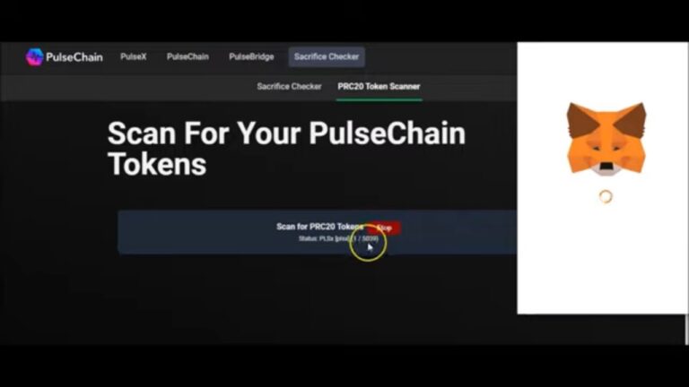HOW TO DO PULSECHAIN STEP BY STEP
