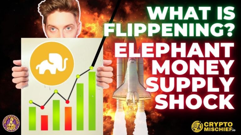 Elephant Money: The Phenomenon is Repeating Itself! (A Must-Watch Blog Post)