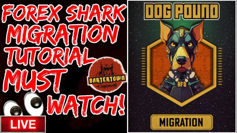 Forex Shark: A Comprehensive Tutorial on Animal Farm Dogpound Migration (Must-Watch) | Drip Network