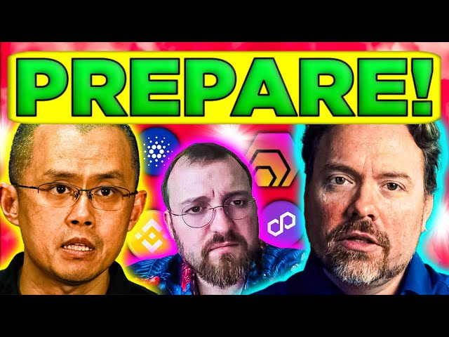 The Biggest Crypto Moment is Happening Now! [HEX, Binance, Cardano, Polygon]