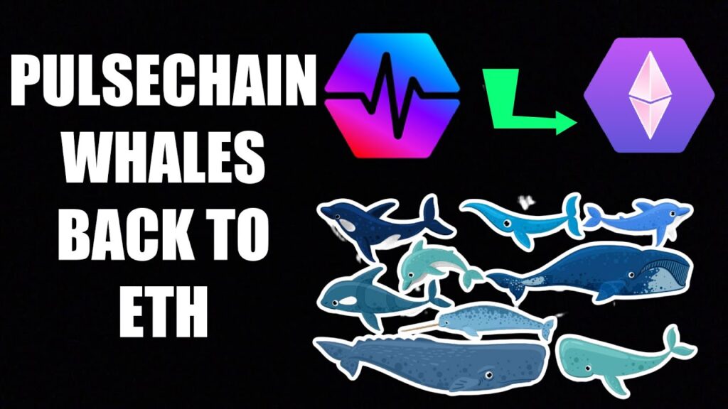 PulseChain Whales Moving Back To Ethereum!