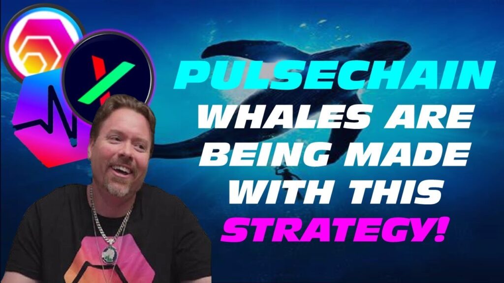 PulseChain Whales will be Born with this Srategy
